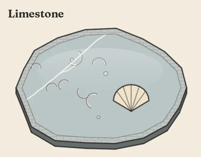 A polished slab of limestone with a fossil shell inside.
